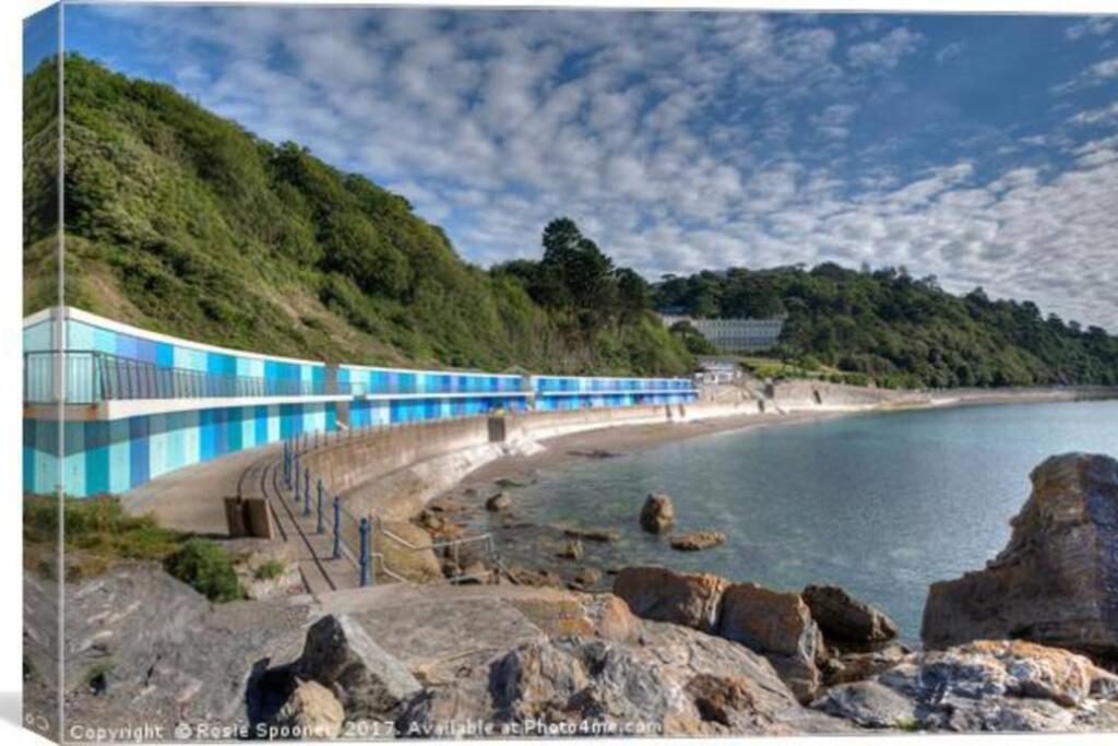 **Sunny And Bright, Thatchers Rock One Bed Beach Front Apartment*** トーキー エクステリア 写真